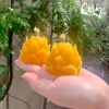 Đèn cầy sáp ong hoa Sen 5.5x4.5cm không khói, mùi mật ong, cháy 11-12h, Giá 82.000₫ 3