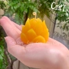 Đèn cầy sáp ong hoa Sen 5.5x4.5cm không khói, mùi mật ong, cháy 11-12h, Giá 82.000₫ 4