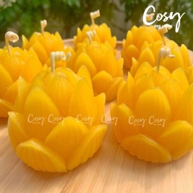 Đèn cầy sáp ong hoa Sen 5.5x4.5cm không khói, mùi mật ong, cháy 11-12h, Giá 82.000₫ 5 Đèn cầy sáp ong hoa Sen 5.5x4.5cm không khói, mùi mật ong, cháy 11-12h, Giá 82.000₫ 5