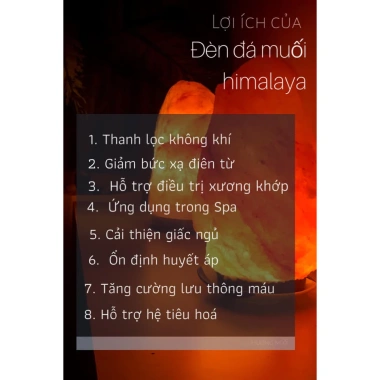 Đèn đá muối hình cầu phong thủy - Thu hút tài lộc, xông tinh dầu, ưu đãi 319.000₫ 6