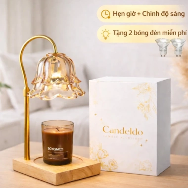 Đèn Hâm Nến Hoa Dạ Lan LED Cỡ Lớn - Hẹn Giờ, Dimmer, Đèn Bàn Đầu Giường, Tặng 2 Bóng, Quà Cưới Lễ Tết 468k 3 Đèn Hâm Nến Hoa Dạ Lan LED Cỡ Lớn - Hẹn Giờ, Dimmer, Đèn Bàn Đầu Giường, Tặng 2 Bóng, Quà Cưới Lễ Tết 468k 3