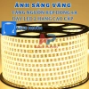 Đèn LED 2.835 20m, 2 hàng, siêu sáng, chống nước, hắt trần, decor phòng – 150.000₫
