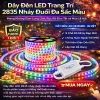 Đèn LED 50m nháy đa màu NP Nhật Phong kèm nguồn, chống nước, trang trí trần, giá ưu đãi 230.000 VND 9
