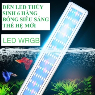 Đèn LED 6 màu WRGB + 4 hàng trắng xanh cho hồ thủy sinh - Giá 75.000, giảm mạnh Đèn LED 6 màu WRGB + 4 hàng trắng xanh cho hồ thủy sinh - Giá 75.000, giảm mạnh