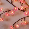 Đèn LED Cành Hoa Đào 2.026 - Đèn Hoa Giả Phát Sáng, Decor Nhà Cửa, Giá ưu đãi 115.000₫ 3