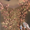 Đèn LED Cây Hoa Anh Đào 3D Điều Khiển Từ Xa - Trang Trí Tết Giá 120k 5