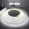 Đèn LED dây 10M-5M-3M, hắt trần, trang trí quán, khách sạn, Noel, lễ tết - 29.378đ 5