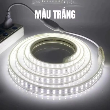 Đèn LED dây 10M-5M-3M, hắt trần, trang trí quán, khách sạn, Noel, lễ tết - 29.378đ 5