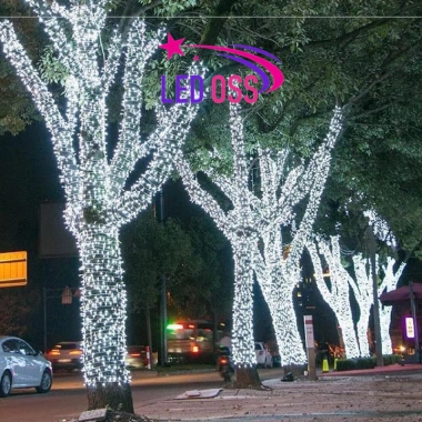 Đèn LED Dây Trang Trí 20-100M - Đèn Nháy Noel, Quán Café, Ngoại Trời, 79.000đ
