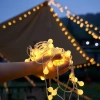 Đèn LED dây trang trí 6-10m cherry, ngôi sao, bông tuyết - Giá ưu đãi 35.000 VNĐ 9