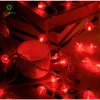 Đèn LED Dây Trang Trí Tết Đèn Lồng Đỏ Nút Thắt Đa Màu - Giảm còn 65k, Lung Linh Tết 7