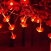 Đèn LED Đèn Lồng 8 Khía Lễ Tết 10M 40 Bóng, Nhiều Chế Độ Nháy, Cắm Điện, Giá 15.000 2