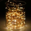 Đèn Led Đom Đóm 1M - Sỉ, Dây Trang Trí Noel, Lồng Đèn Trung Thu, Decor Cafe, Giá 40.000₫ 4