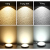 Đèn Led Downlight âm trần nhựa DLE MPE 6-18W, đổi 3 màu 3.000-6.500K - Giá ưu đãi 61.857₫ 7