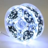 Đèn Led Hạt Gạo 50m/100m Dây Kẽm Xanh Lá Remote Quấn Trang Trí Cây Thông Sân Vườn 159k 2