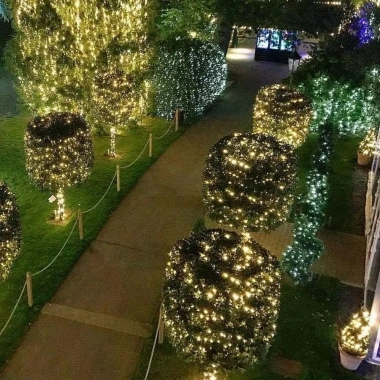 Đèn Led hạt gạo dây đồng xanh lá kèm remote dây led nháy quấn trang trí cây đào, mai, quất cho Tết Noel 128k