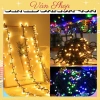 Đèn Led Nháy Kim Cương 20-40m - Trang Trí Noel, Tết, Sinh Nhật, Trung Thu, Giá ưu đãi 47.925