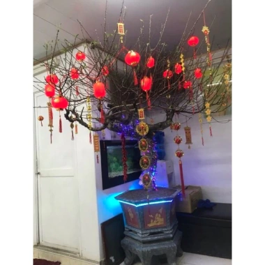 Đèn Led Rèm Thả Đèn Lồng Cắm Điện Trang Trí Tết – Giá 79.000 VNĐ, Sáng Lung Linh
