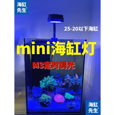 Đèn LED San Hô Bể Cá Nhỏ 3 Chế Độ Thời Gian - Xanh Đỏ Trắng, Giá 510,073₫ 6 Đèn LED San Hô Bể Cá Nhỏ 3 Chế Độ Thời Gian - Xanh Đỏ Trắng, Giá 510,073₫ 6