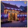 Đèn LED Thả Rèm Đuôi Công - Ngôi Sao Trang Trí Cây Noel, Tết Năm Mới, Giá 120k 3