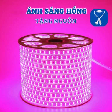 Đèn LED trang trí 2.835SMD 2 hàng 5‑20m, siêu bền, chống nước, tặng nguồn, hắt trần decor phòng - 75.000 VND 9