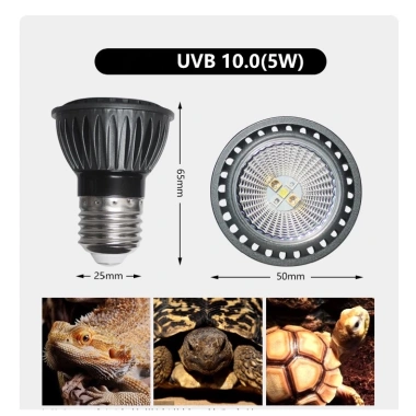 Đèn LED UVB 5.0 & 10.0 5W - Canxi cho Bò Sát, Không Cần Chụp Đèn, Giá 320k