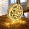 Đèn Led Xương Cá Đom Đóm Dây Trang Trí Noel Giáng Sinh Tết - Giá ưu đãi 199.000đ
