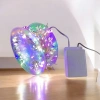 Đèn Led Xương Cá Đom Đóm Dây Trang Trí Noel Giáng Sinh Tết - Giá ưu đãi 199.000đ 9