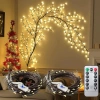 Đèn Mây LED Trang Trí Tường Giáng Sinh - Dây Đèn Sân Vườn, Tiệc, Giá Chỉ 79.000