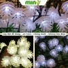Đèn Năng Lượng Mặt Trời Quả Thông 100 LED – Trang Trí Ngoài Trời Chống Nước, Giá 99.800₫ 5