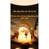 Đèn ngủ hình vịt con ánh sáng dịu nhẹ, tự động tắt, cảm ứng da - Giảm giá 20% 6