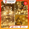Đèn nháy LED 10m bi bọt, bông tuyết, ngôi sao, kim cương giá 13.9k LionKingStore