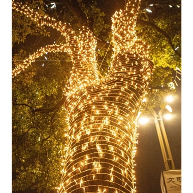 Đèn nháy LED dây 30-50m sáng, trang trí quán cafe, sân vườn, Noel, lễ tết, giá 184.500₫