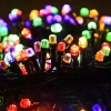 Đèn Nháy LED Kim Cương Vàng Trắng Đa Sắc 10-40m - Trang Trí Noel, Giáng Sinh, Lễ Tết, Cửa Hàng Coffee - 29.000₫ 7