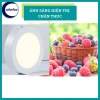 Đèn Ốp Nổi Trần Siêu Sáng 24W-6W Vuông Tròn Ánh Trắng Chính hãng - 68k 7