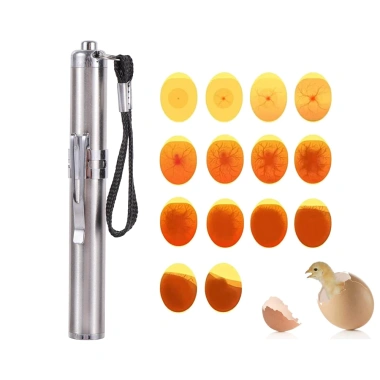 Đèn pin LED kiểm tra trứng thép không gỉ - Móc khóa mini, giá chỉ 40.187₫ Đèn pin LED kiểm tra trứng thép không gỉ - Móc khóa mini, giá chỉ 40.187₫