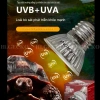 Đèn sưởi UVA UVB HI.GECKO 25-75W cho bò sát, chim, rùa, thú cưng, giá chỉ 25.000₫ 3