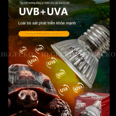 Đèn sưởi UVA UVB HI.GECKO 25-75W cho bò sát, chim, rùa, thú cưng, giá chỉ 25.000₫