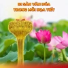 Đèn Thờ Hoa Sen Không Khói Không Mùi 220V An Toàn - Giá 180.500đ Quỳnh Diễn 9