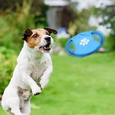 Đĩa bay chó gặm bền dây bông - Huấn luyện ngoài trời, mài răng, ngăn cắn phá cho Corgi và Frenchie, chỉ 79.191₫ 4