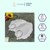 Dĩa Nhựa Fataco Hình Lá Ngăn Chấm Melamine Đen Dày Dặn, Màu Trắng - Giá 27.000 VNĐ