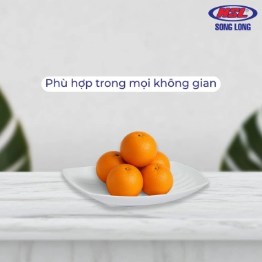 Đĩa nhựa hình thuyền 30cm - Đựng đồ ăn, bánh kẹo, hoa quả, Giá 25.200₫