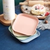 Đĩa Nhựa Lúa Mạch An Toàn Tiện Lợi - Đựng Đồ Ăn, Hoa Quả, Bánh Kẹo 5.600 VND 10