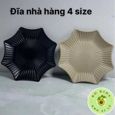 Đĩa Nhựa Phíp Ngôi Sao Việt Nhật 4 Size Dày Đựng Hoa Quả Đồ Ăn - 12.636 VND