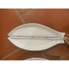 Đĩa phíp nhựa melamine cao cấp hình cá, đủ kích thước, giá chỉ 44.100₫ 8