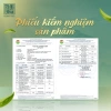 Dịch Chiết Sâm Ngọc Linh Trường Nhân - Hỗ Trợ Sức Khỏe, Dành Cho Người Trẻ và Người Lớn, Quà Biếu Tặng, Giá Giảm 439.000đ 5