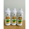 Dịch Chuối Hữu Cơ Minh Khôi 1L - Cung Kali, Kích Hoa, Ngọt Quả, Đẹp Trái, Chắc Nhân, Chín Đồng Loạt - 52.100 VND 7