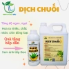 Dịch Chuối Hữu Cơ Minh Khôi – Kali Hữu, Kích Hoa, Ngọt Quả, Đẹp Trái, Chắc Nhân, Chín Đồng Loạt 1L & 5L