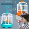 Điện Lồng Chim WEETW - Vẹt Nói Thực Tế, Đồ Chơi Giáo Dục Dạ Quang, Giá 102.300 VND