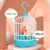 Điện Lồng Chim WEETW - Vẹt Nói Thực Tế, Đồ Chơi Giáo Dục Dạ Quang, Giá 102.300 VND 3